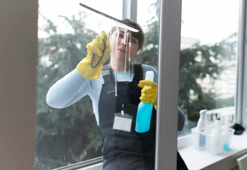 Nettoyage de vitres intérieures et extérieures à Ouzouer-sous-Bellegarde